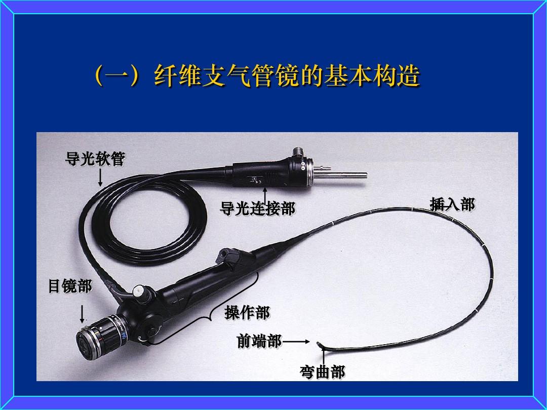 纤维支气管镜检查术