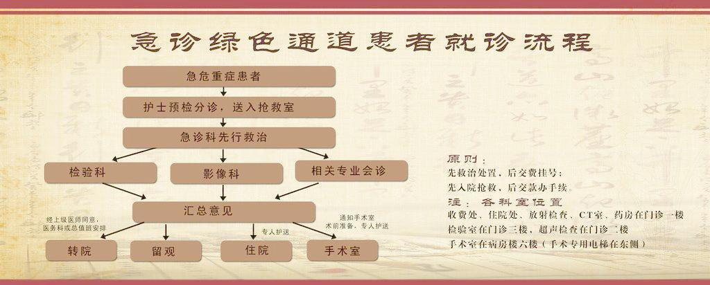 急诊绿色通道就诊流程.png