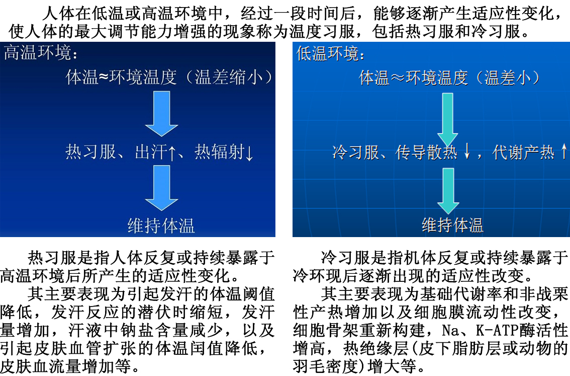 特殊环境温度下的体温调节
