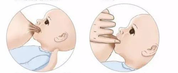 正确的哺乳方法2.png