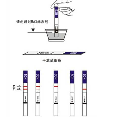 妊娠试验.png