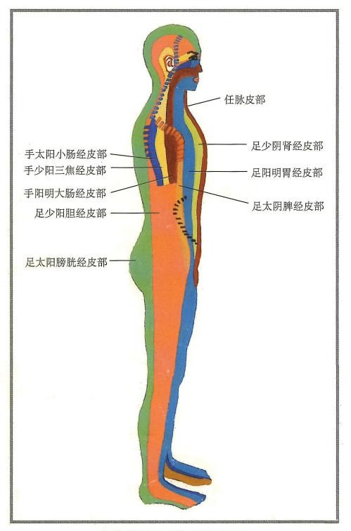 微课堂-北京出版社大中专教材中心