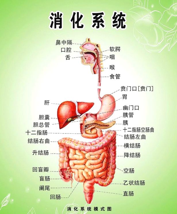 概述.png